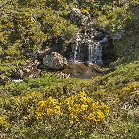 Grand Duplex Au Coeur De *